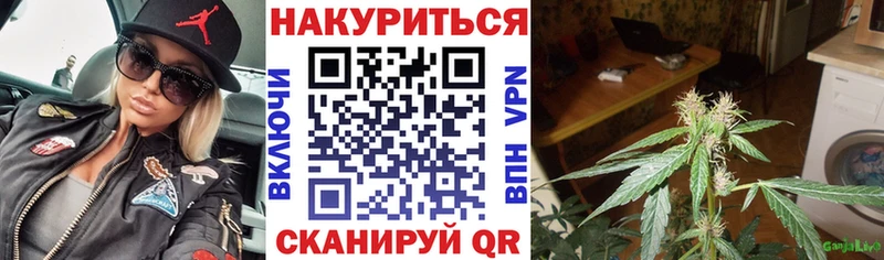 кракен   магазин  наркотиков  Сурск  Бошки марихуана семена 